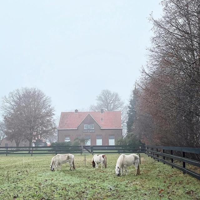 Hoeve De Snippert Groenlo Eksteriør billede